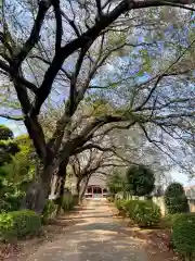 清光寺(埼玉県)