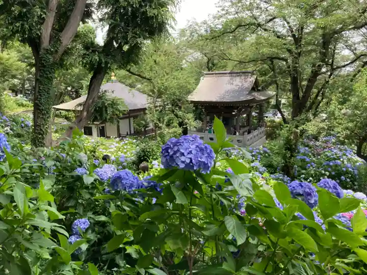 妙楽寺(神奈川県)