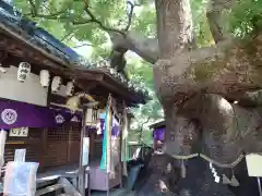 三島神社(大阪府)