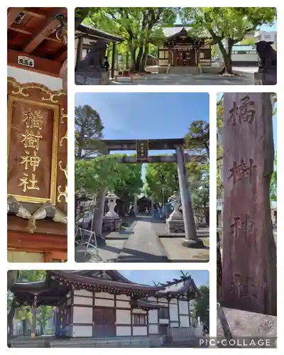 橘樹神社(神奈川県)