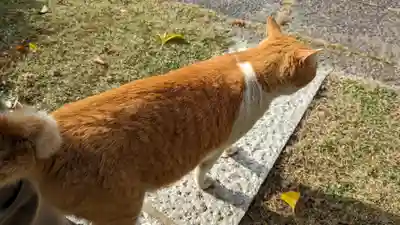 乗願寺(京都府)
