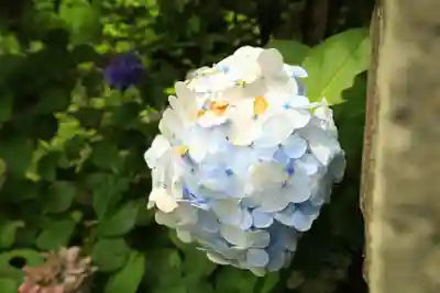 太平山神社(栃木県)