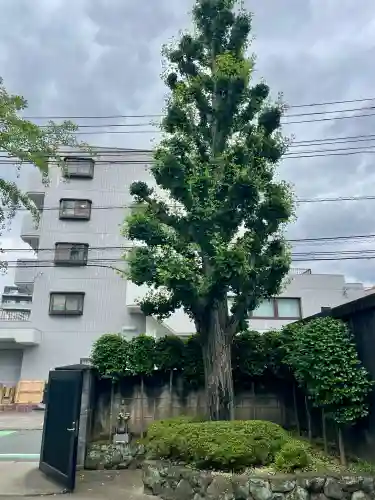 西光寺(東京都)