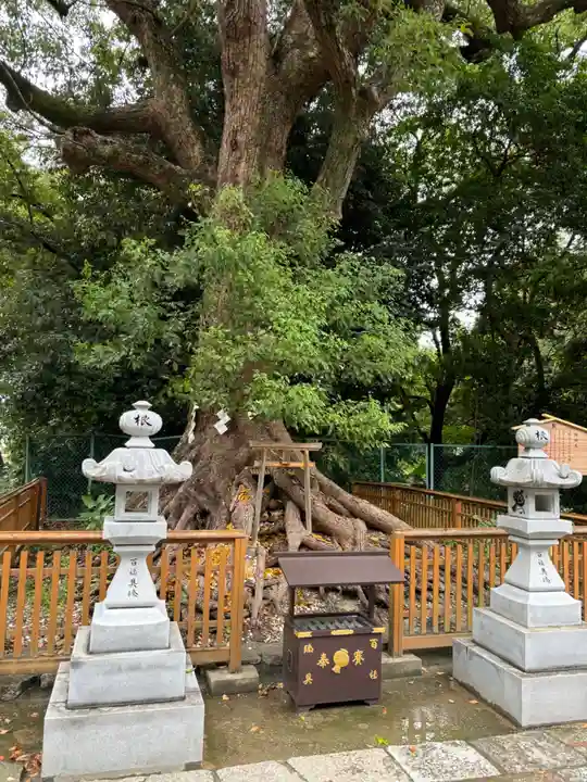 和泉國一之宮 大鳥大社(大阪府)