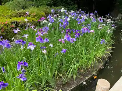 平安神宮(京都府)