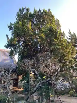 宝戒寺(神奈川県)