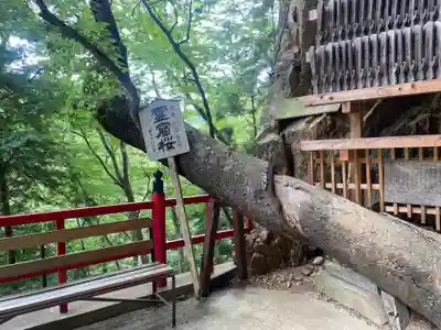 徳善院明王密寺(福島県)