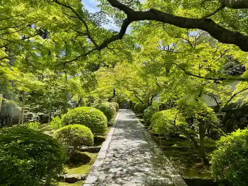 酬恩庵一休寺(京都府)
