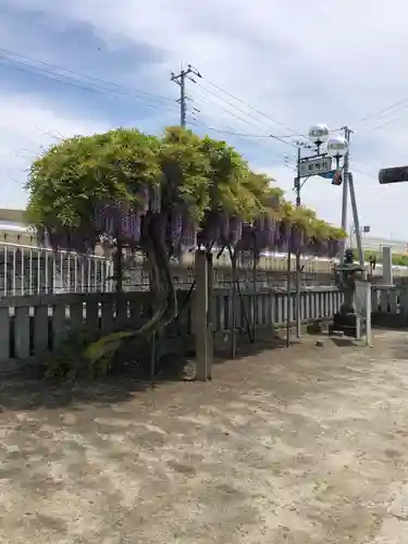 栗橋八坂神社の庭園