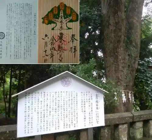 久能山東照宮(静岡県)