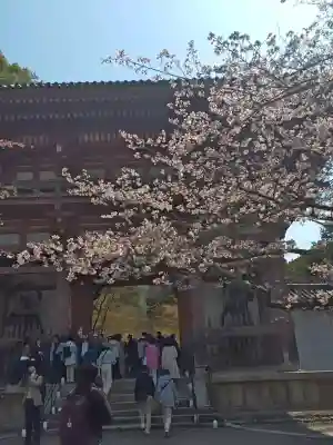 醍醐寺の{uncategorized: "未分類", other: "その他", undefined: "問題あり", building: "その他建物", grave: "お墓", sacred_gate: "鳥居", guardian: "狛犬", statue: "像", buddha: "仏像", history: "歴史", nature: "自然", garden: "庭園", animal: "動物", pagoda: "塔", temizu: "手水舎", mountain_gate: "山門・神門", sanctuary: "本殿・本堂", subordinate: "末社・摂社", art: "芸術", scenery: "景色", jizo: "地蔵", ema: "絵馬", goshuin: "御朱印", omikuji: "おみくじ", items: "授与品その他", amulet: "お守り", goshuincho: "御朱印帳", eats: "食事", festival: "お祭り", votive_dance: "神楽", shichigosan: "七五三参", wedding: "結婚式", experience: "体験その他", initially: "初詣", around: "周辺", anti_infection: "感染症対策"}