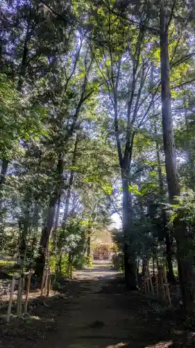 結城諏訪神社の{uncategorized: "未分類", other: "その他", undefined: "問題あり", building: "その他建物", grave: "お墓", sacred_gate: "鳥居", guardian: "狛犬", statue: "像", buddha: "仏像", history: "歴史", nature: "自然", garden: "庭園", animal: "動物", pagoda: "塔", temizu: "手水舎", mountain_gate: "山門・神門", sanctuary: "本殿・本堂", subordinate: "末社・摂社", art: "芸術", scenery: "景色", jizo: "地蔵", ema: "絵馬", goshuin: "御朱印", omikuji: "おみくじ", items: "授与品その他", amulet: "お守り", goshuincho: "御朱印帳", eats: "食事", festival: "お祭り", votive_dance: "神楽", shichigosan: "七五三参", wedding: "結婚式", experience: "体験その他", initially: "初詣", around: "周辺", anti_infection: "感染症対策"}