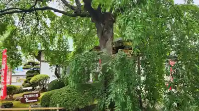 身照寺(岩手県)