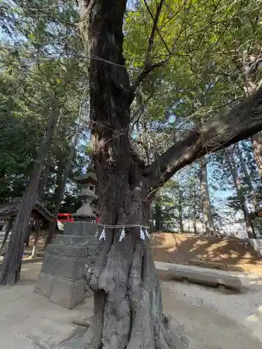 中山神社の{uncategorized: "未分類", other: "その他", undefined: "問題あり", building: "その他建物", grave: "お墓", sacred_gate: "鳥居", guardian: "狛犬", statue: "像", buddha: "仏像", history: "歴史", nature: "自然", garden: "庭園", animal: "動物", pagoda: "塔", temizu: "手水舎", mountain_gate: "山門・神門", sanctuary: "本殿・本堂", subordinate: "末社・摂社", art: "芸術", scenery: "景色", jizo: "地蔵", ema: "絵馬", goshuin: "御朱印", omikuji: "おみくじ", items: "授与品その他", amulet: "お守り", goshuincho: "御朱印帳", eats: "食事", festival: "お祭り", votive_dance: "神楽", shichigosan: "七五三参", wedding: "結婚式", experience: "体験その他", initially: "初詣", around: "周辺", anti_infection: "感染症対策"}