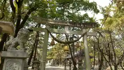 大濱熊野大神社の鳥居
