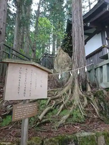 櫻山八幡宮の歴史