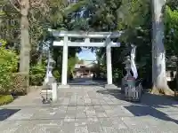 武蔵野八幡宮の{uncategorized: "未分類", other: "その他", undefined: "問題あり", building: "その他建物", grave: "お墓", sacred_gate: "鳥居", guardian: "狛犬", statue: "像", buddha: "仏像", history: "歴史", nature: "自然", garden: "庭園", animal: "動物", pagoda: "塔", temizu: "手水舎", mountain_gate: "山門・神門", sanctuary: "本殿・本堂", subordinate: "末社・摂社", art: "芸術", scenery: "景色", jizo: "地蔵", ema: "絵馬", goshuin: "御朱印", omikuji: "おみくじ", items: "授与品その他", amulet: "お守り", goshuincho: "御朱印帳", eats: "食事", festival: "お祭り", votive_dance: "神楽", shichigosan: "七五三参", wedding: "結婚式", experience: "体験その他", initially: "初詣", around: "周辺", anti_infection: "感染症対策"}