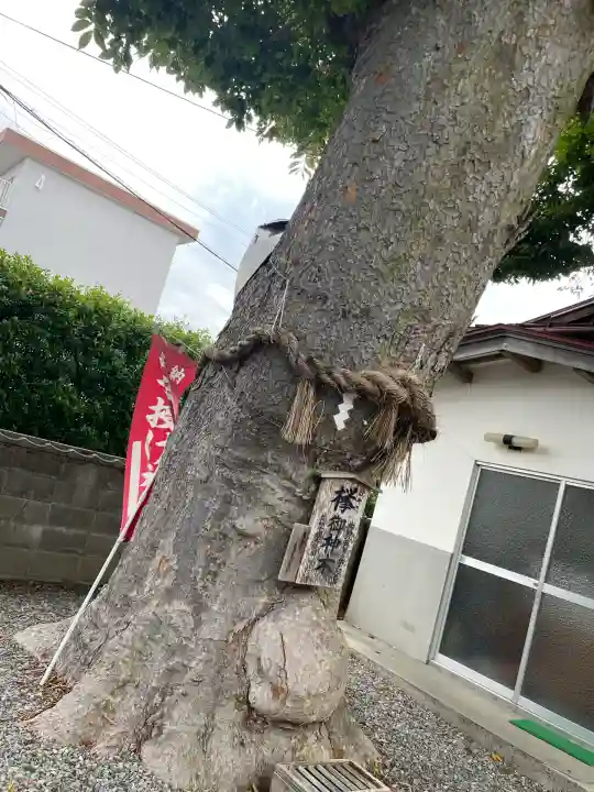 須賀神社(宮城県)
