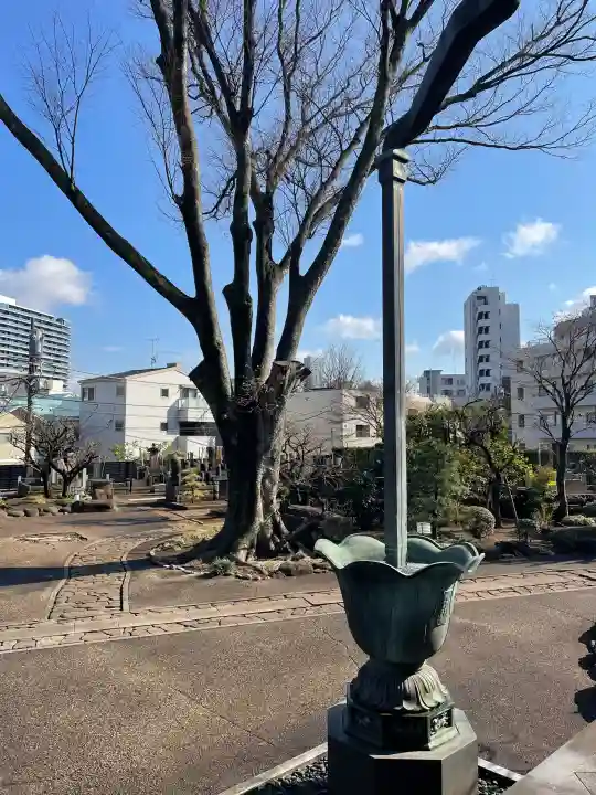 瑞円寺の{uncategorized: "未分類", other: "その他", undefined: "問題あり", building: "その他建物", grave: "お墓", sacred_gate: "鳥居", guardian: "狛犬", statue: "像", buddha: "仏像", history: "歴史", nature: "自然", garden: "庭園", animal: "動物", pagoda: "塔", temizu: "手水舎", mountain_gate: "山門・神門", sanctuary: "本殿・本堂", subordinate: "末社・摂社", art: "芸術", scenery: "景色", jizo: "地蔵", ema: "絵馬", goshuin: "御朱印", omikuji: "おみくじ", items: "授与品その他", amulet: "お守り", goshuincho: "御朱印帳", eats: "食事", festival: "お祭り", votive_dance: "神楽", shichigosan: "七五三参", wedding: "結婚式", experience: "体験その他", initially: "初詣", around: "周辺", anti_infection: "感染症対策"}