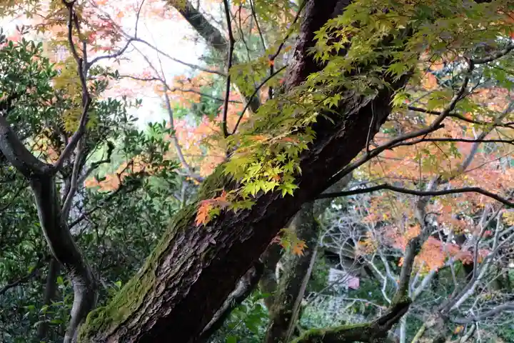 平安神宮(京都府)