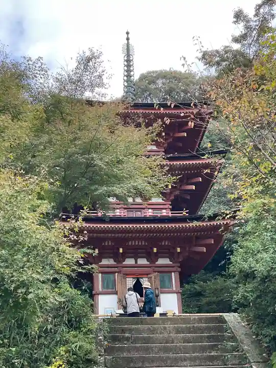 浄瑠璃寺(京都府)