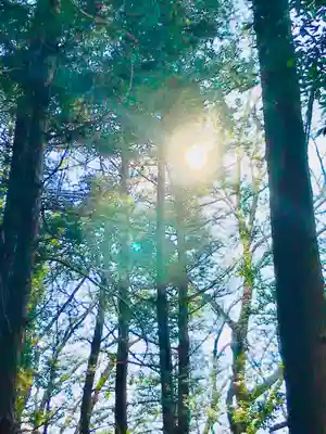 伊保田神社の自然
