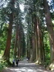 戸隠神社奥社(長野県)