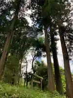 山神神社(千葉県)