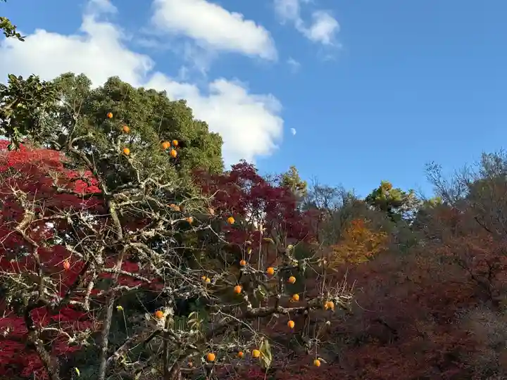 詩仙堂(丈山寺)(京都府)