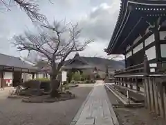 橘寺(奈良県)