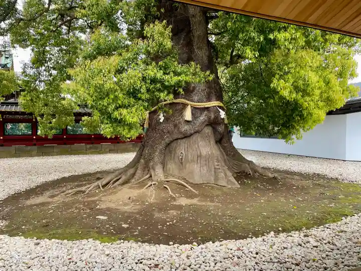 栄誉権現社の{uncategorized: "未分類", other: "その他", undefined: "問題あり", building: "その他建物", grave: "お墓", sacred_gate: "鳥居", guardian: "狛犬", statue: "像", buddha: "仏像", history: "歴史", nature: "自然", garden: "庭園", animal: "動物", pagoda: "塔", temizu: "手水舎", mountain_gate: "山門・神門", sanctuary: "本殿・本堂", subordinate: "末社・摂社", art: "芸術", scenery: "景色", jizo: "地蔵", ema: "絵馬", goshuin: "御朱印", omikuji: "おみくじ", items: "授与品その他", amulet: "お守り", goshuincho: "御朱印帳", eats: "食事", festival: "お祭り", votive_dance: "神楽", shichigosan: "七五三参", wedding: "結婚式", experience: "体験その他", initially: "初詣", around: "周辺", anti_infection: "感染症対策"}