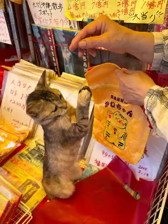 寶当神社(佐賀県)