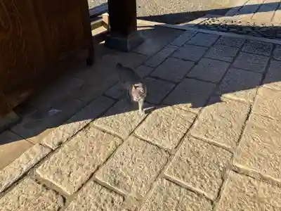 長福寺(東京都)