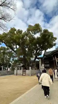 石切劔箭神社(大阪府)