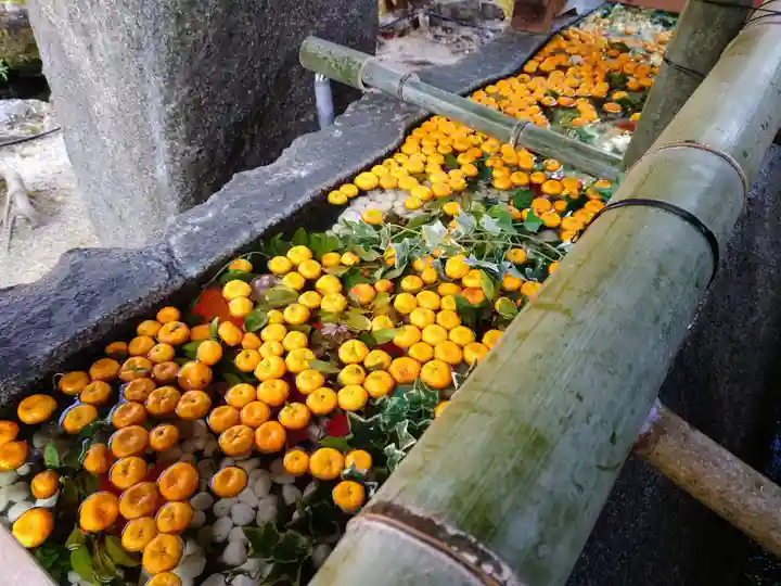 賀茂別雷神社(上賀茂神社)(京都府)