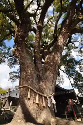 艮神社(広島県)