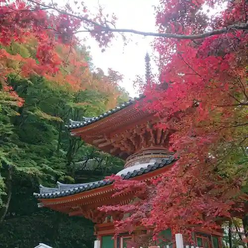 大威徳寺の塔