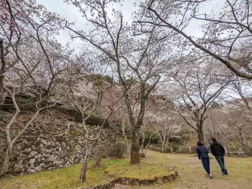 勝持寺（花の寺）(京都府)