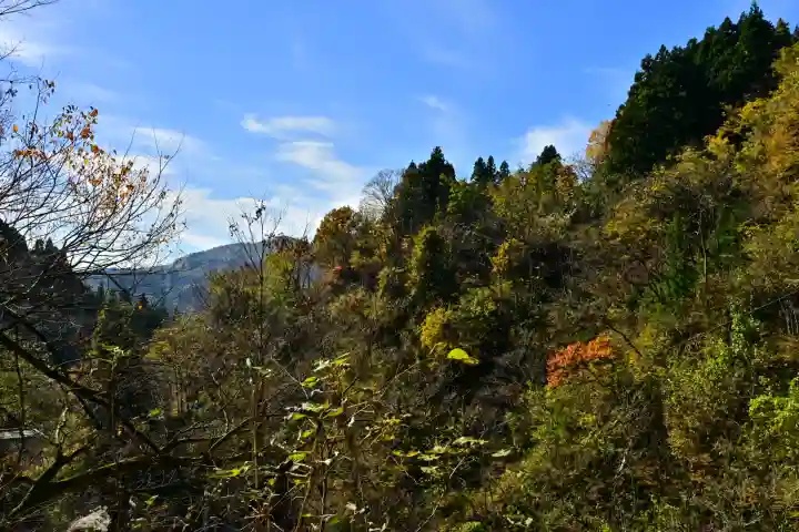 高龍神社(新潟県)