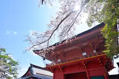 富士山本宮浅間大社(静岡県)