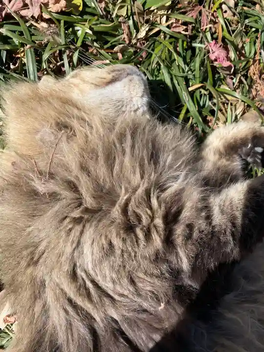 唐澤山神社(栃木県)