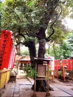 代々木八幡宮(東京都)