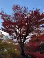 宝筐院(京都府)