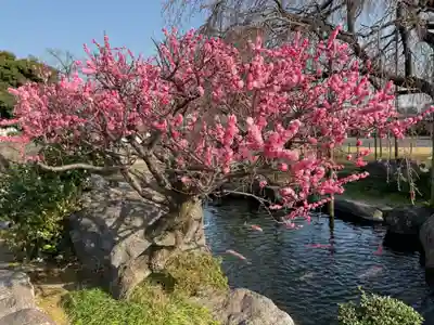 正眼寺(愛知県)