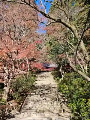 室生寺(奈良県)