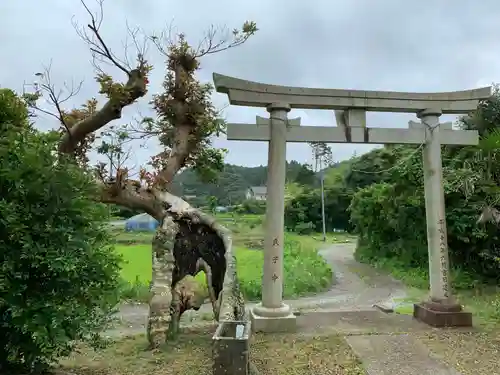 十二天宮の鳥居