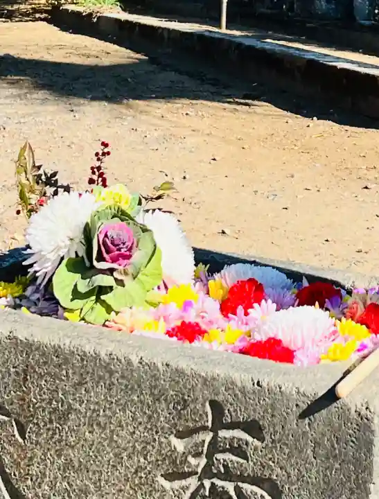 慈光寺(弓田ポックリ不動尊)の{uncategorized: "未分類", other: "その他", undefined: "問題あり", building: "その他建物", grave: "お墓", sacred_gate: "鳥居", guardian: "狛犬", statue: "像", buddha: "仏像", history: "歴史", nature: "自然", garden: "庭園", animal: "動物", pagoda: "塔", temizu: "手水舎", mountain_gate: "山門・神門", sanctuary: "本殿・本堂", subordinate: "末社・摂社", art: "芸術", scenery: "景色", jizo: "地蔵", ema: "絵馬", goshuin: "御朱印", omikuji: "おみくじ", items: "授与品その他", amulet: "お守り", goshuincho: "御朱印帳", eats: "食事", festival: "お祭り", votive_dance: "神楽", shichigosan: "七五三参", wedding: "結婚式", experience: "体験その他", initially: "初詣", around: "周辺", anti_infection: "感染症対策"}