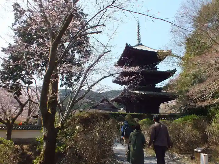 園城寺(三井寺)のその他建物
