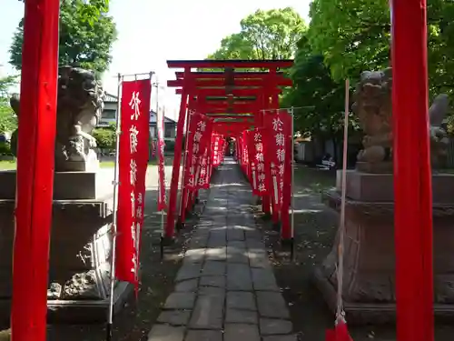 於菊稲荷神社の鳥居