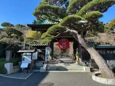 長谷寺(神奈川県)